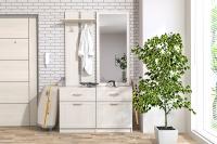 Прихожая Иннэс-6 Рамка вариант 6