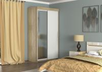 Шкаф-купе ШК-18 Феникс с зеркалом