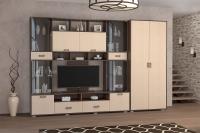 Стенка Аллегро вариант 4 со шкафом ЛДСП (венге/дуб белфорт)
