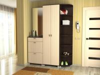 Прихожая ШК-9 вариант 2