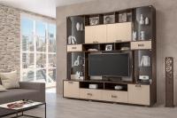 Стенка Аллегро вариант 4 ЛДСП (венге/дуб белфорт)