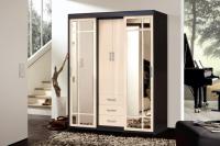 Шкаф-купе 010 Диал (венге/дуб белфорт)