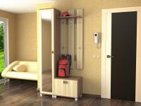 Прихожая ШК-9 вариант 1 (ясень шимо темный/ясень шимо светлый)