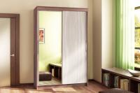 Шкаф-купе 011 Диал (ясень шимо темный/ясень шимо светлый)