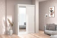 Шкаф-купе 011 Диал (бодега светлый)