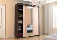 Шкаф-купе ШК-20 Феникс с зеркалом