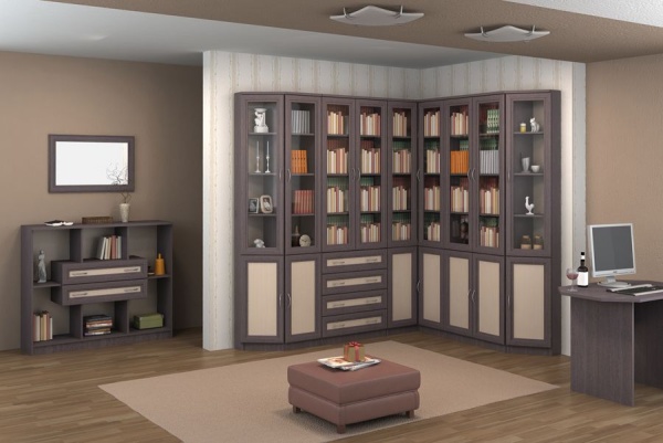 Шкаф для книг Гарун 204